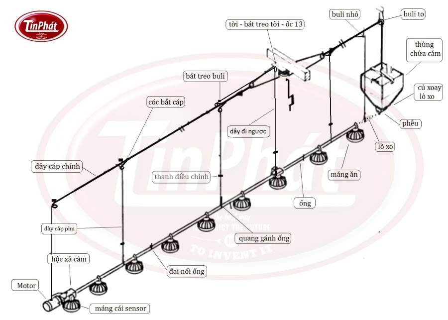 hệ thống máng ăn tự động cho gà minh phát