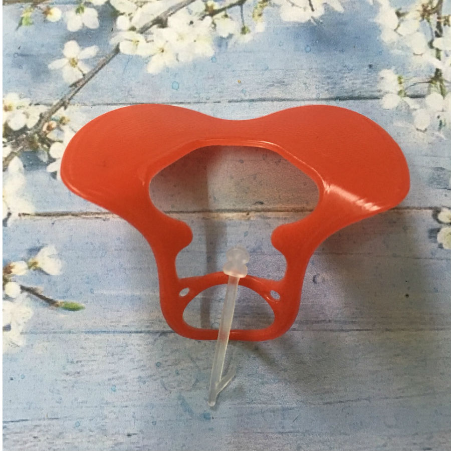 Cau tao cua kinh deo cho ngan