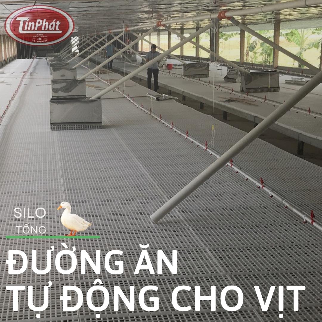 hệ thống máng ăn tự động cho Vịt- đường ăn tự động cho trang trại Vịt Tín Phát