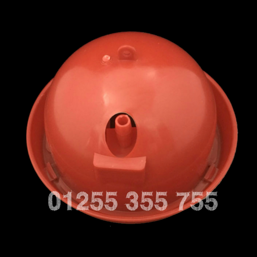 máng uống nước chim cút gà con