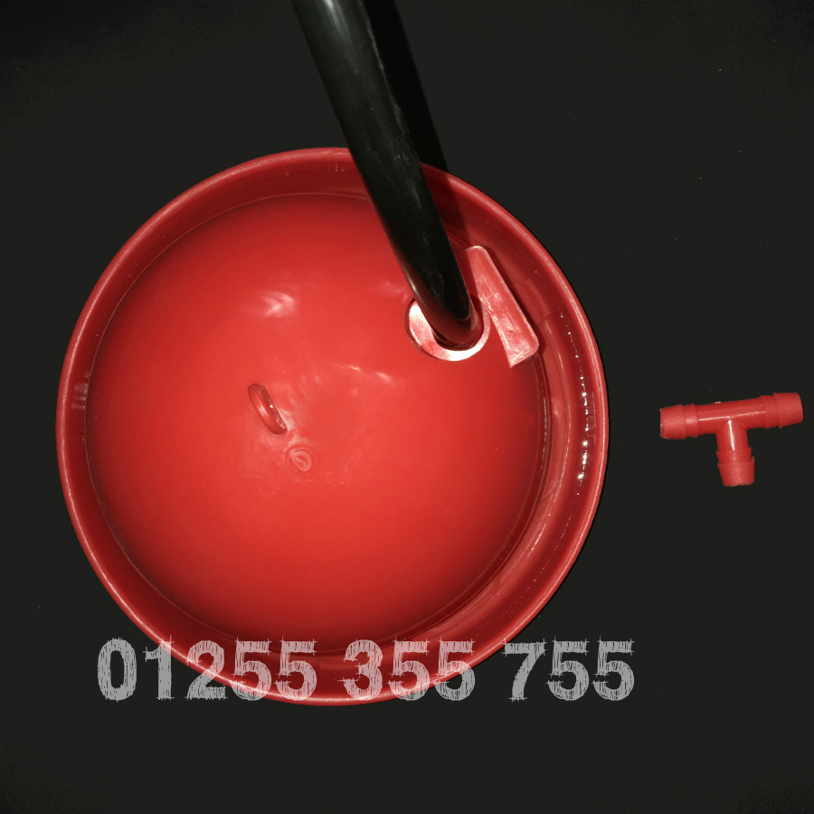 máng uống nước chim cút