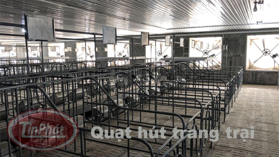 quạt hút trangt rại heo, quạt hút công suất lớn