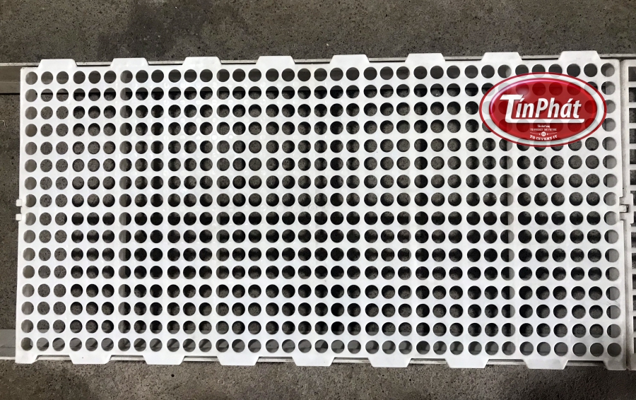 sàn nhựa nuôi vịt lỗ tròn 50 x 100 min h phát tiếng công