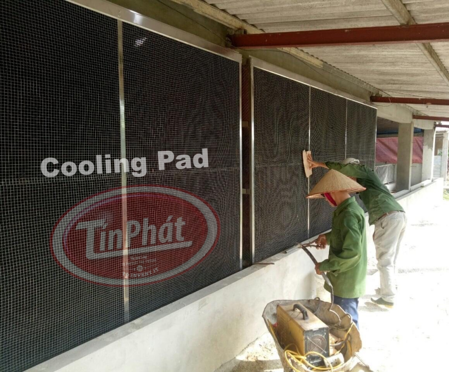 tấm làm mát trang trại cooling pad giấy làm mát