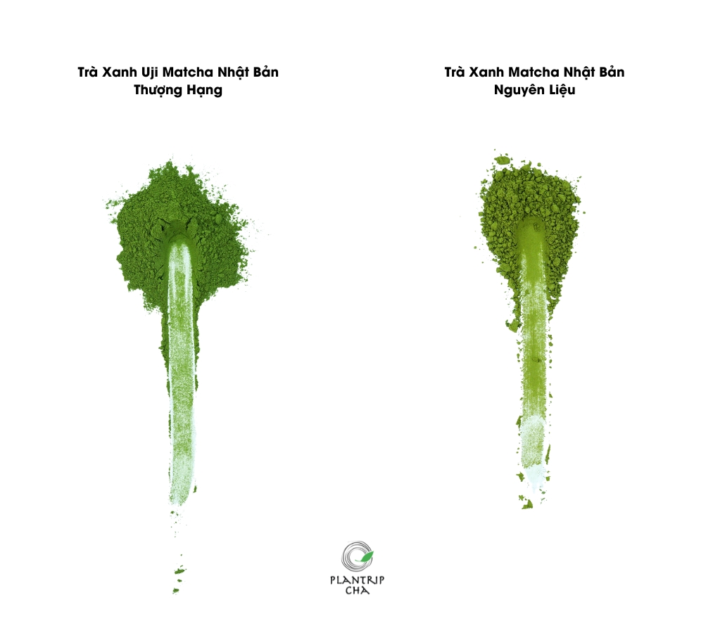 Hai phẩm matcha Nhật Bản thưởng thức thượng hạng và matcha Nhật Bản pha chế cao cấp.