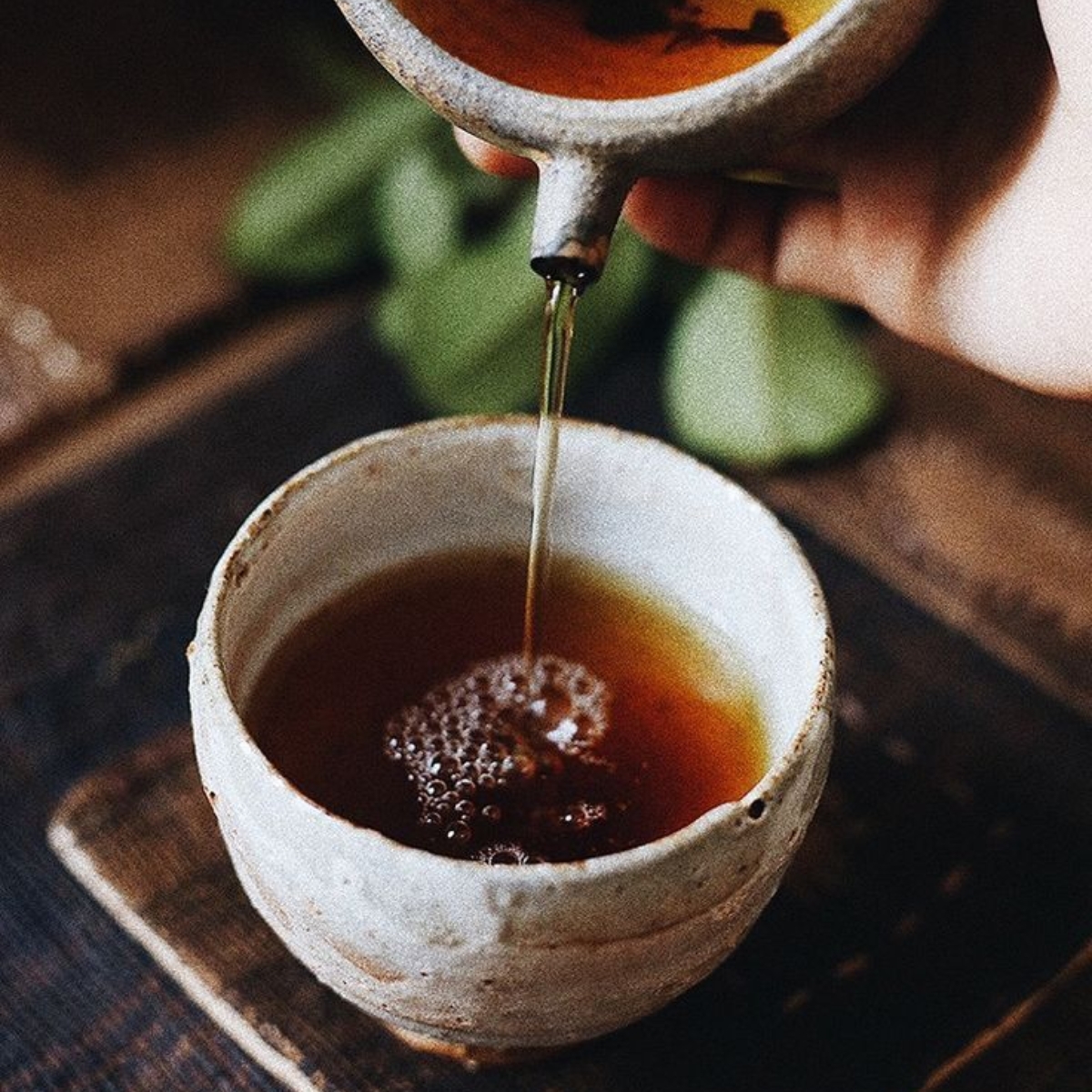 Hương trà Houjicha rang béo len lỏi trong mùi đất dịu nhẹ và có chút gì đó gợi nhớ đến caramel.