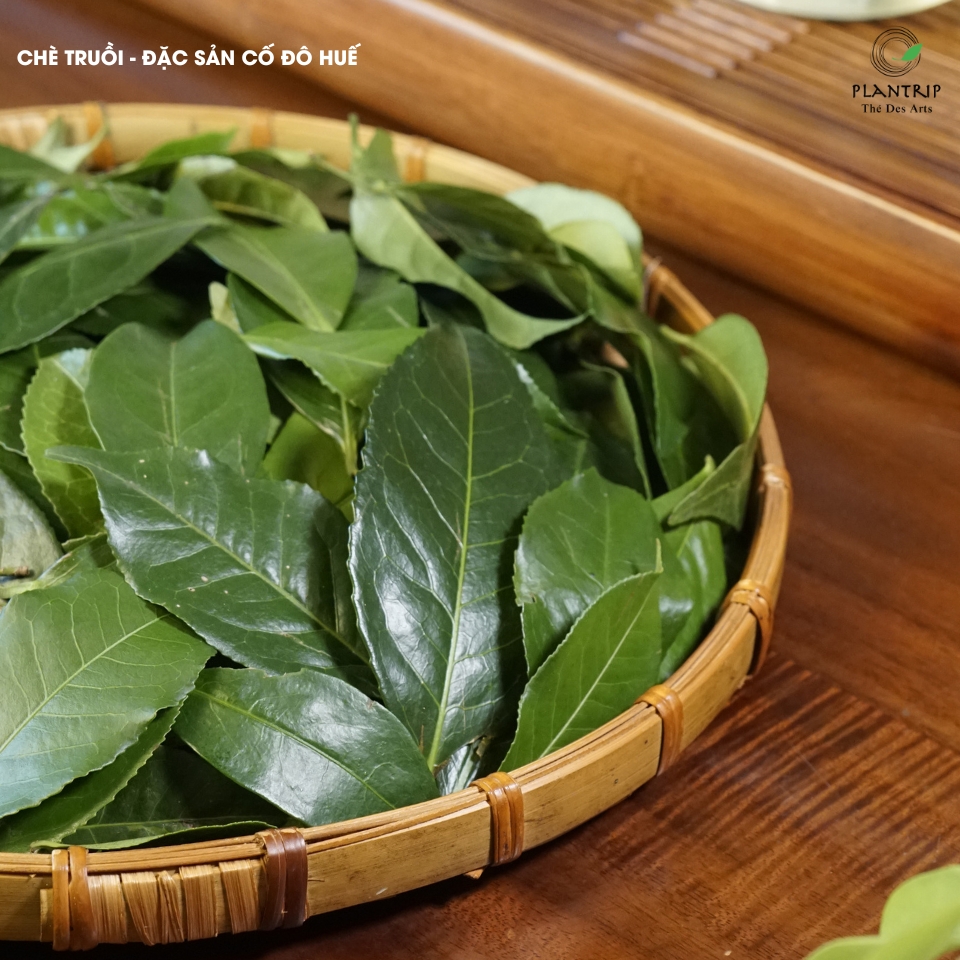 Chè Truồi không phải là phẩm trà làm từ búp non thường thấy