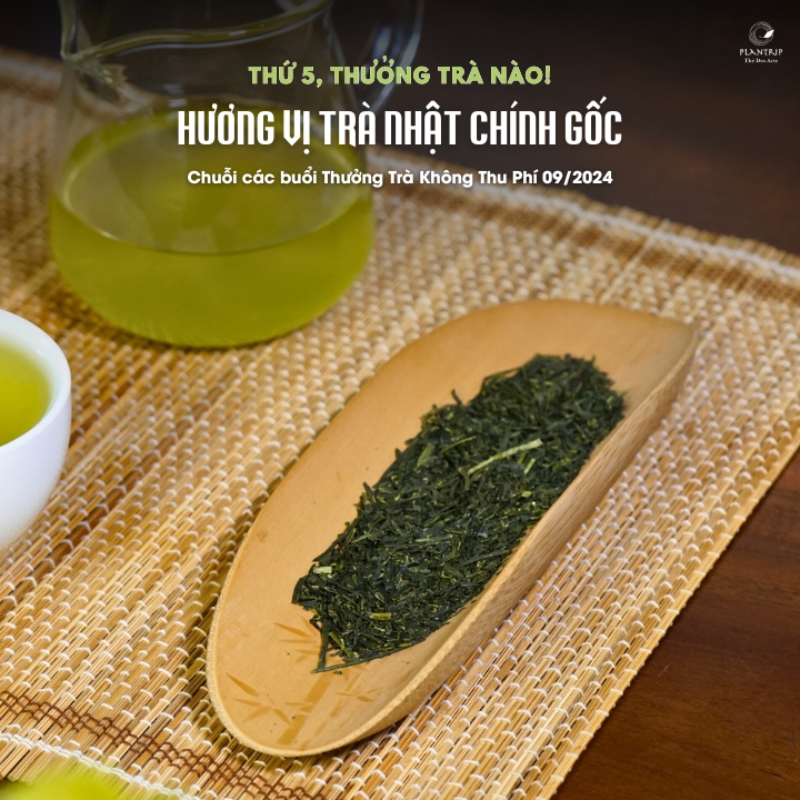 Cùng tham gia buổi thưởng trà ấm cúng và vui vẻ cùng những câu chuyện trà thú vị.