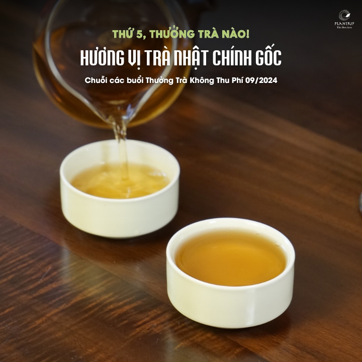 Các phẩm trà Nhật Bản chính gốc hảo hạng sẽ mang đến cho bạn những trải nghiệm thú vị.