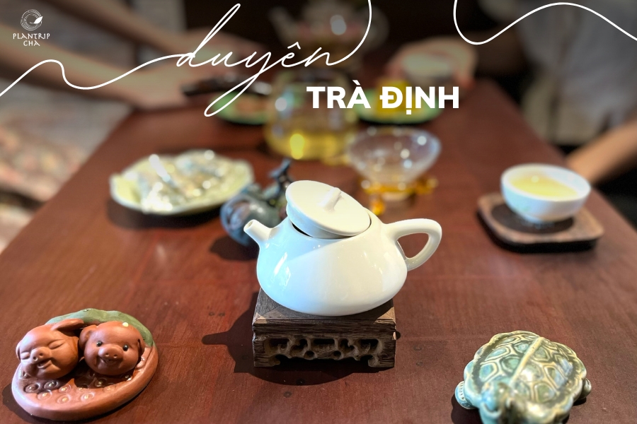 DUYÊN TRÀ ĐỊNH - DÙNG TRÀ ĐỊNH NGHĨA NHÂN DUYÊN