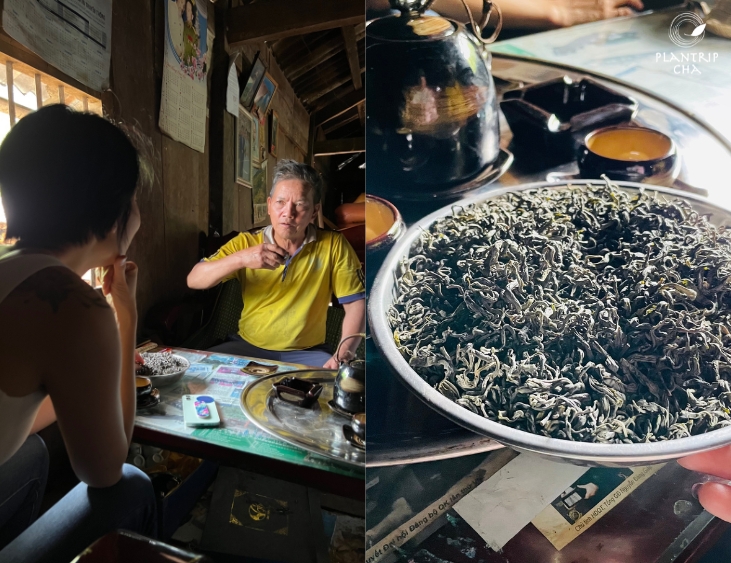 Tôi được đi thăm xưởng trà của gia đình và đến để thăm rừng trà cổ thụ ở đây.