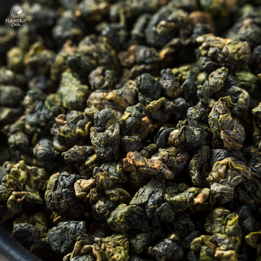 TRÀ OOLONG LÀ GÌ? TỔNG QUAN VỀ TRÀ OOLONG