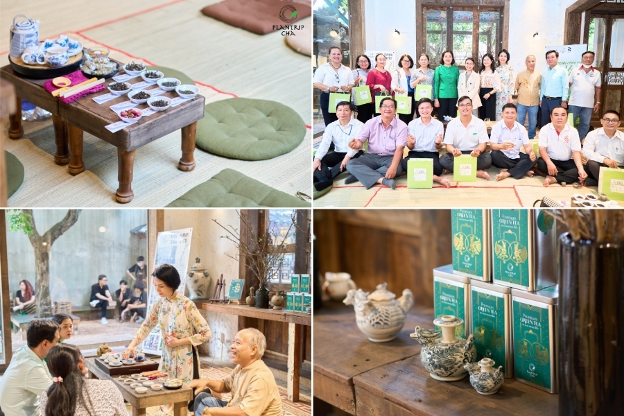 Hành trình về trà là workshop do Plantrip tổ chức - chuyên về trà Việt.