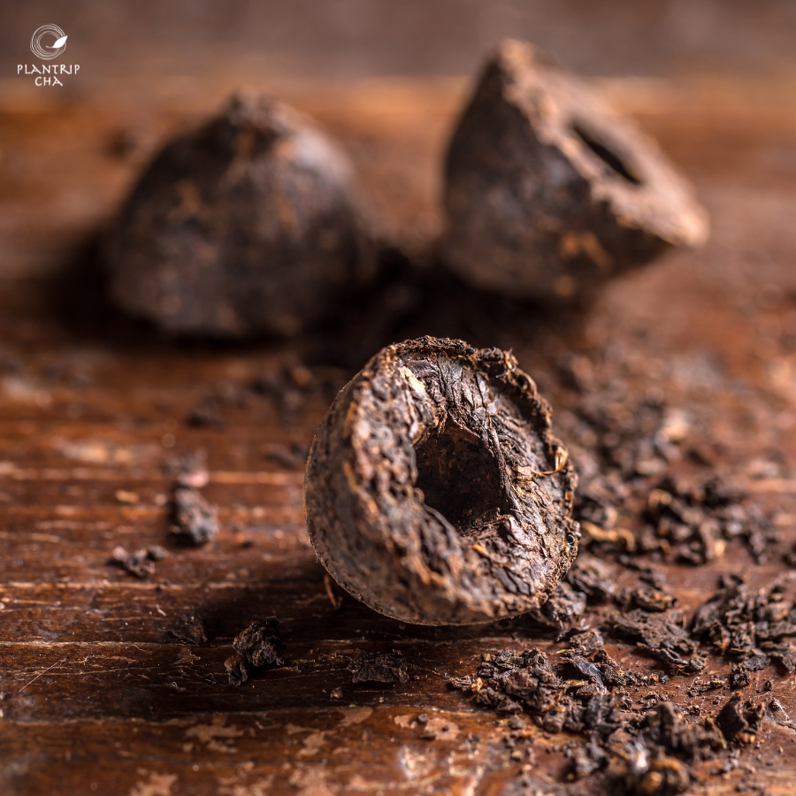 TRÀ PHỔ NHĨ LÀ GÌ? TỔNG QUAN VỀ TRÀ PHỔ NHĨ