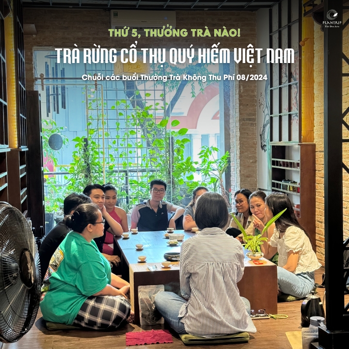 Chương trình "Thứ 5, thưởng trà nào!" do Plantrip Cha tổ chức hằng tuần