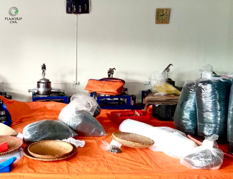 Trà sau khi được thu hái từ vườn sẽ được chế biến ngay tại xưởng để đảm bảo độ tươi ngon