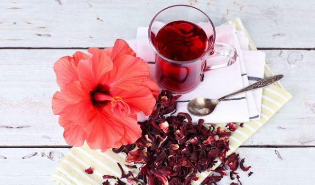 Những lưu ý trong cách pha trà Hibiscus