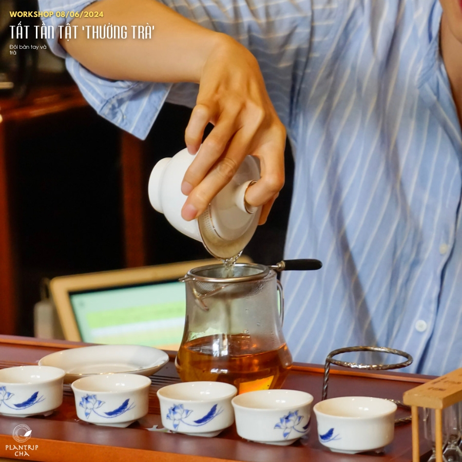 Các bạn chưa có kinh nghiệm hoặc mới tìm hiểu về trà vẫn có thể tham gia buổi workshop.