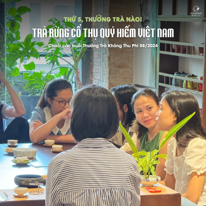 Một số hình ảnh của buổi "Thứ 5, thưởng trà nào!":