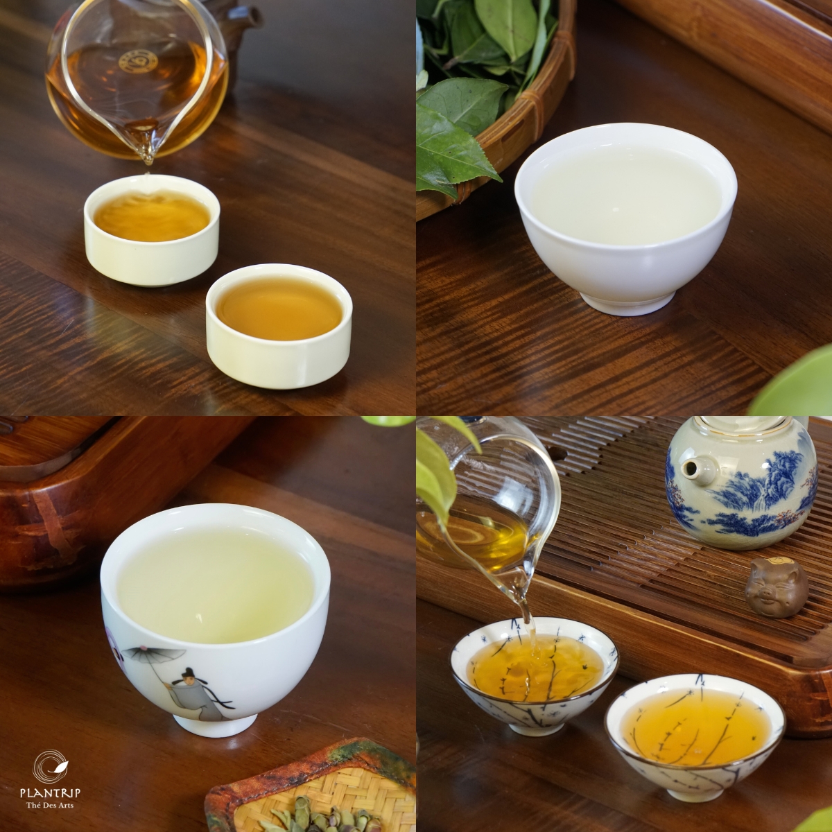 Chương trình "Thứ 5, thưởng trà nào!" do Plantrip Cha tổ chức hằng tuần vào mỗi tháng.