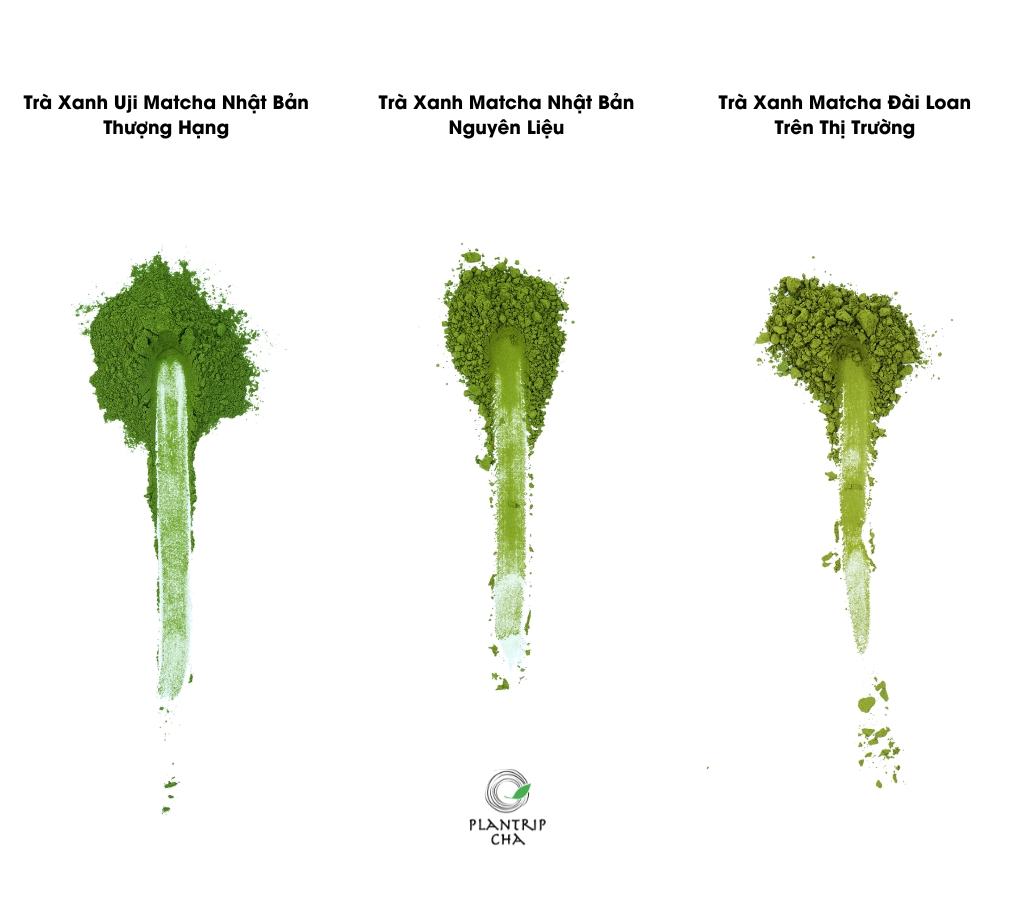 Sự khác biệt về màu sắc, hình dáng bên ngoài của bột trà xanh matcha từ Nhật Bản và Đài Loan.