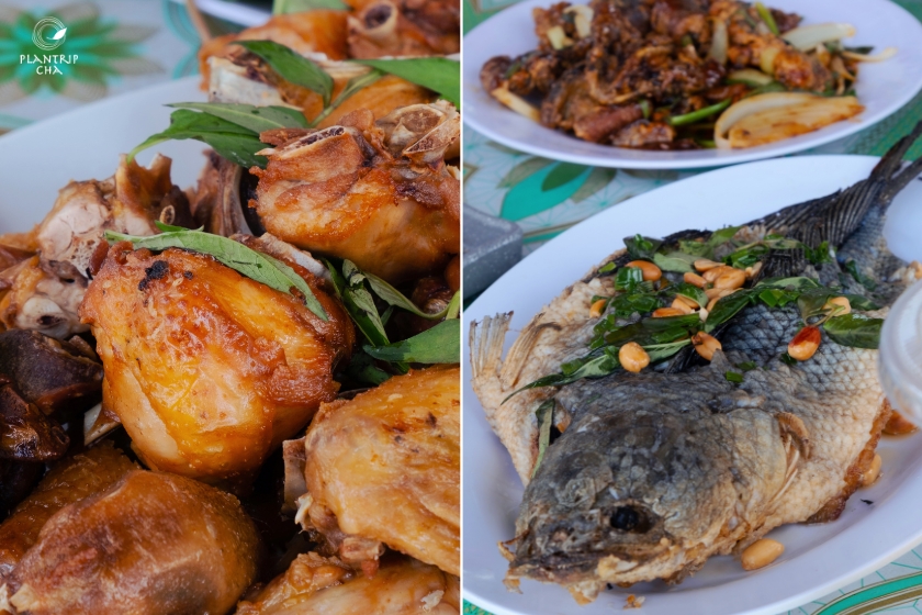 Thưởng thức các món ăn đặc sản Đồng Tháp cùng Plantrip.