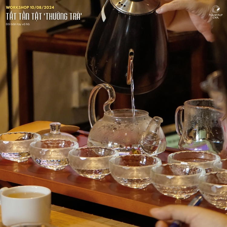 Cùng tham  gia workshop Tất Tần Tật “Thưởng Trà” tại Hồ Chí Minh.