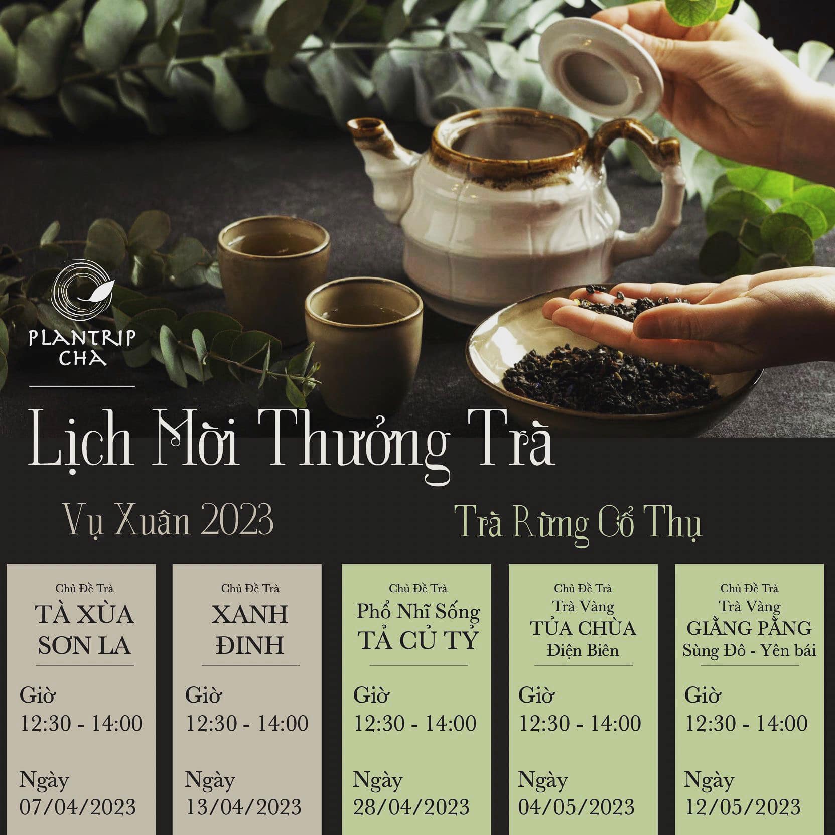 Lịch đăng ký buổi thưởng trà