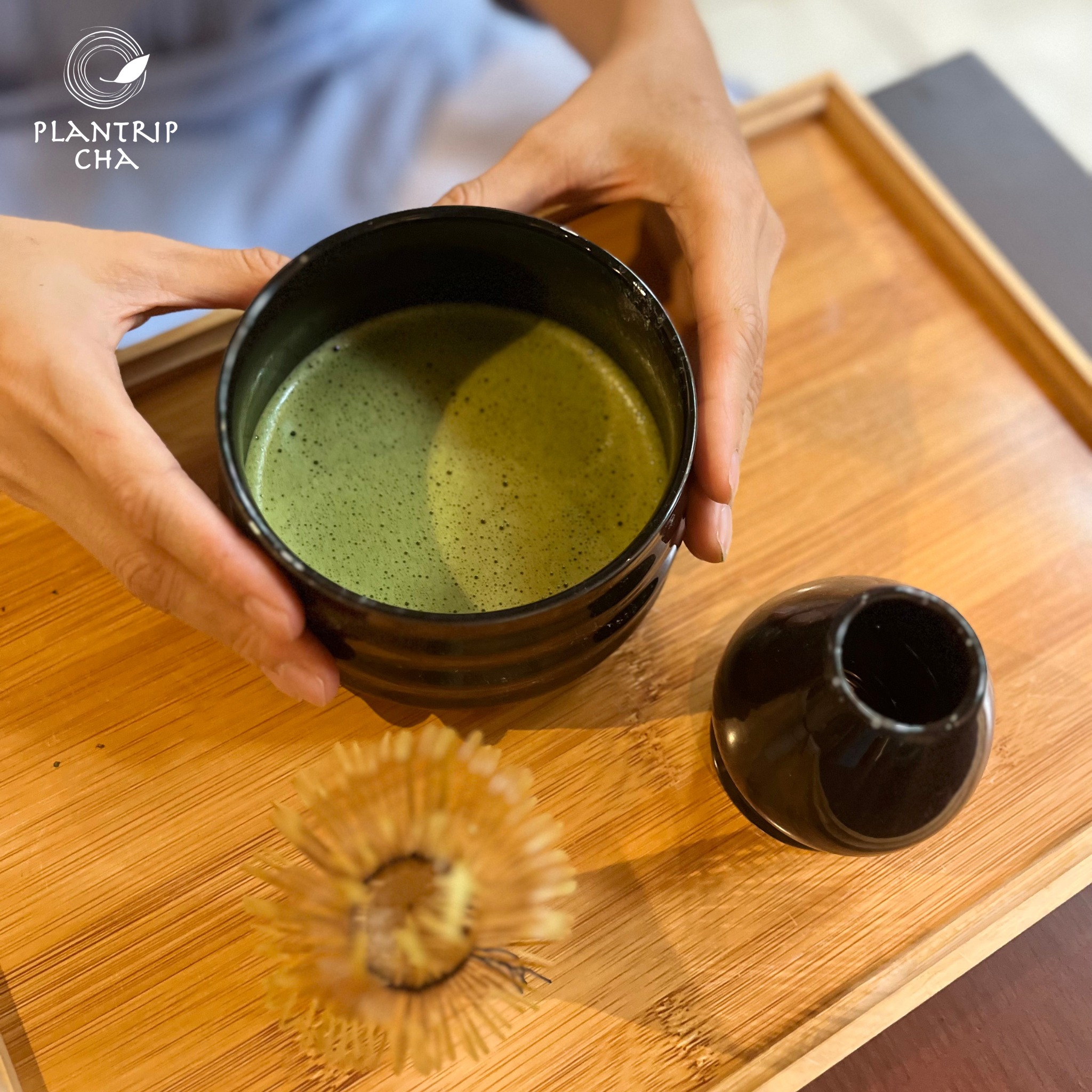 HƯƠNG VÀ VỊ CỦA TRÀ ĐẾN TỪ ĐÂU?