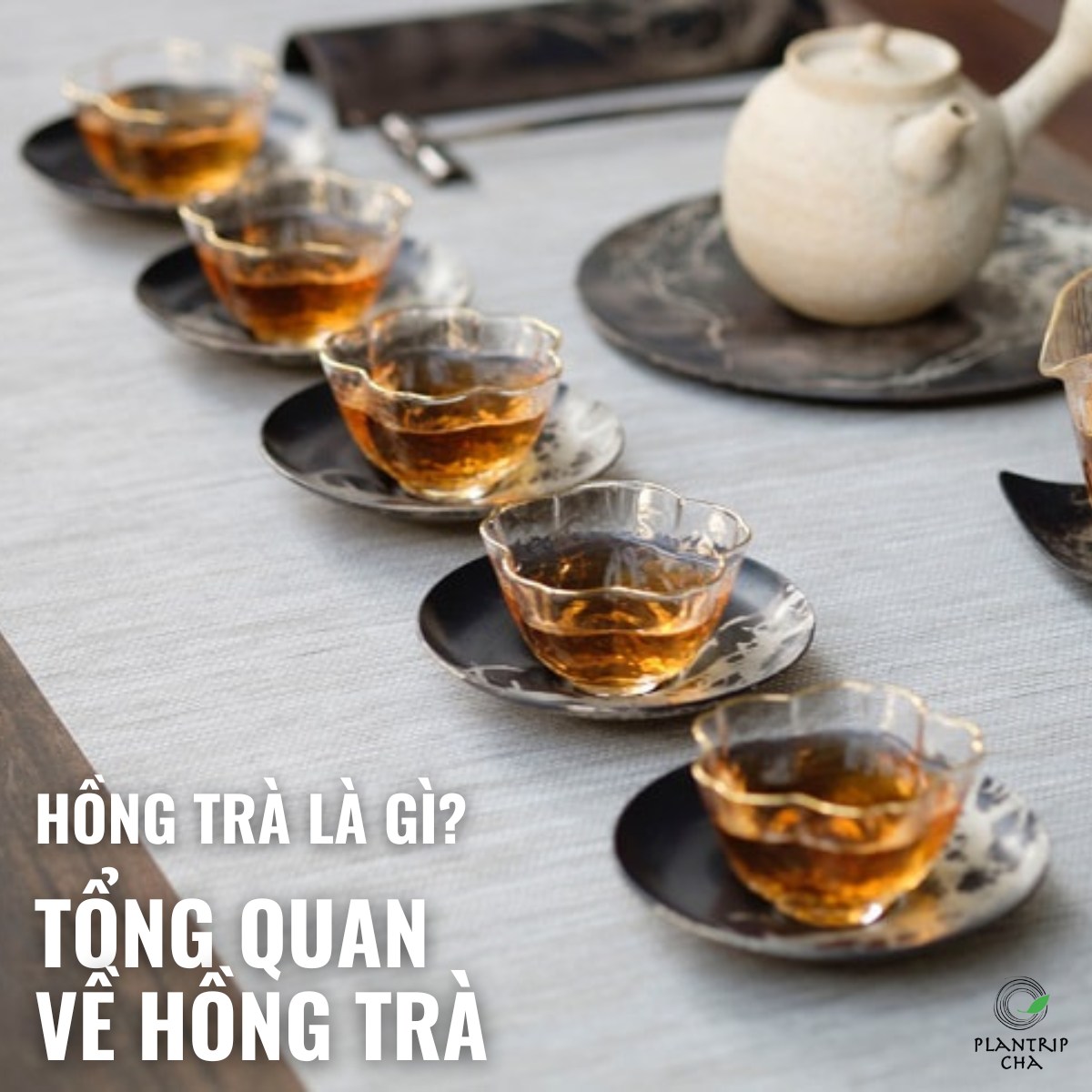 HỒNG TRÀ LÀ GÌ? TỔNG QUAN VỀ TRÀ HỒNG TRÀ