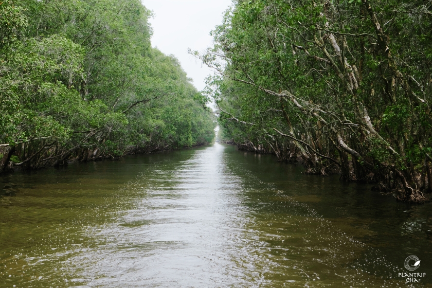 Tham quan xứ hoa sen cùng Plantrip Cha bằng ghe.