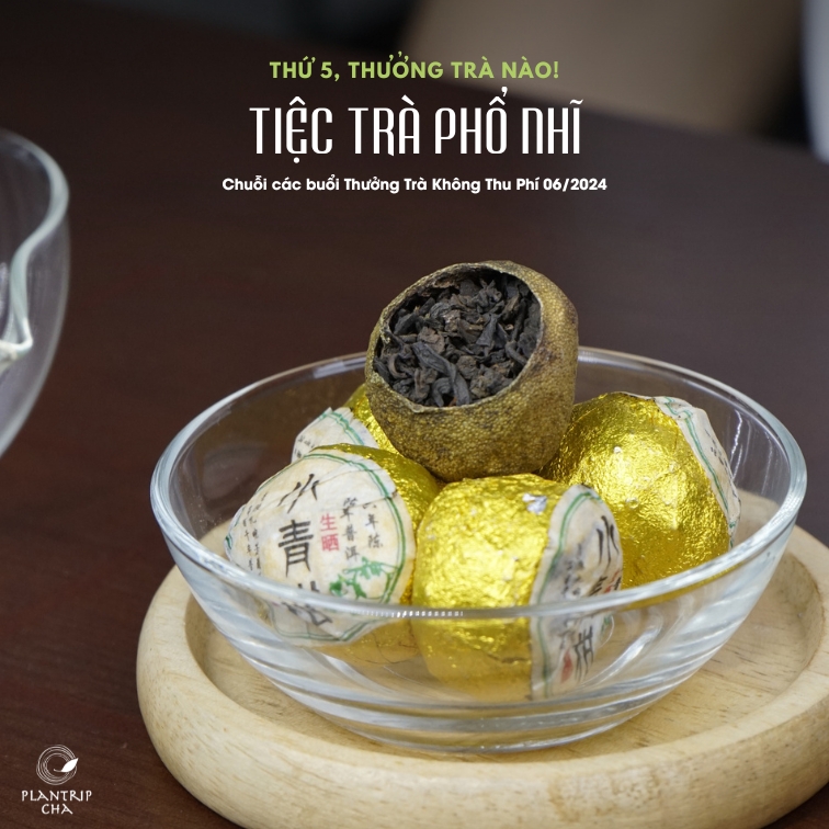 Bốn phẩm trà phổ nhĩ được chọn pha trong 4 buổi thưởng trà tháng 6 này.