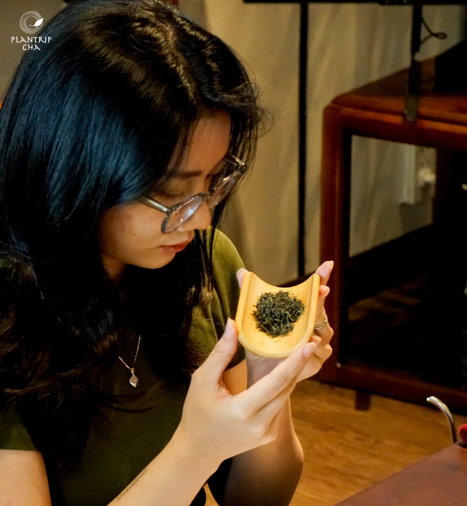 Các bạn chưa có kinh nghiệm hoặc mới tìm hiểu về trà vẫn có thể tham gia buổi workshop