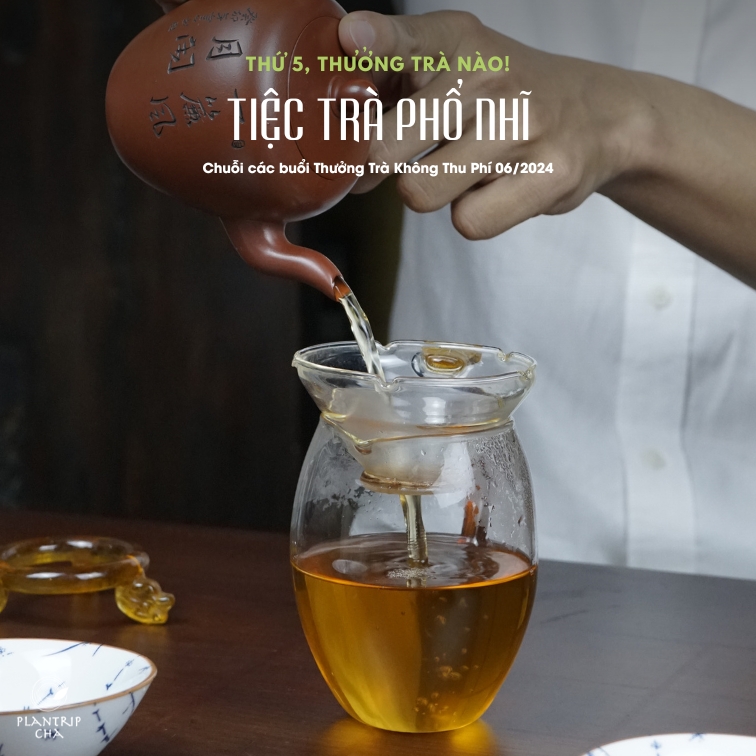 Bốn phẩm trà phổ nhĩ được chọn pha trong 4 buổi thưởng trà tháng 6 này.