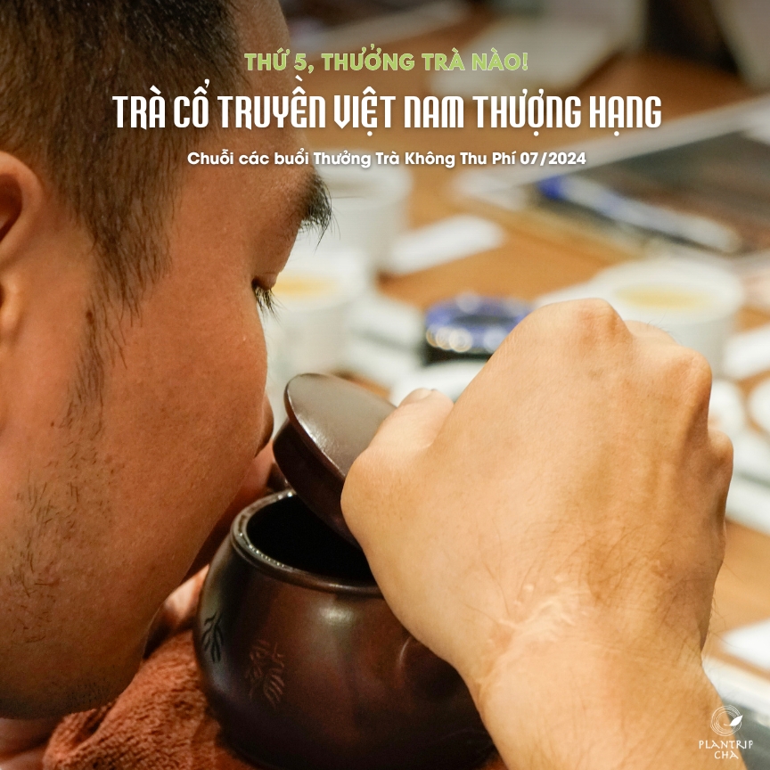 Chương trình "Thứ 5, thưởng trà nào!" do Plantrip Cha tổ chức hằng tuần