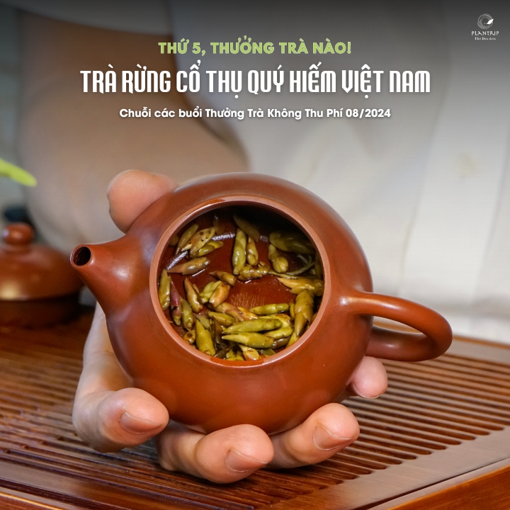 Cùng tham gia buổi thưởng trà ấm cúng và vui vẻ cùng những câu chuyện trà thú vị.