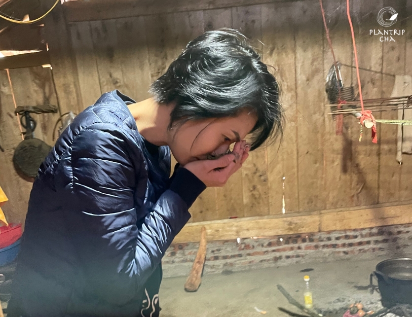 Cảm nhận hương trà ngay sau khi sơ chế xong.