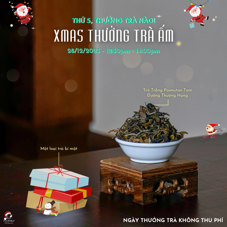 Thưởng Trà Trắng Paimutan Tam Đường Thượng Hạng và một loại trà bí mật.