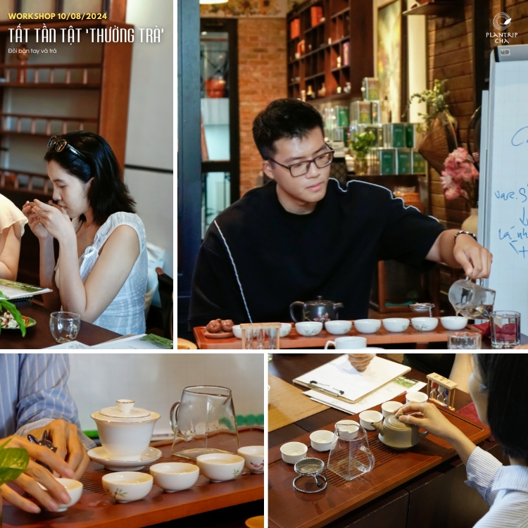 Các bạn chưa có kinh nghiệm hoặc mới tìm hiểu về trà vẫn có thể tham gia buổi workshop.