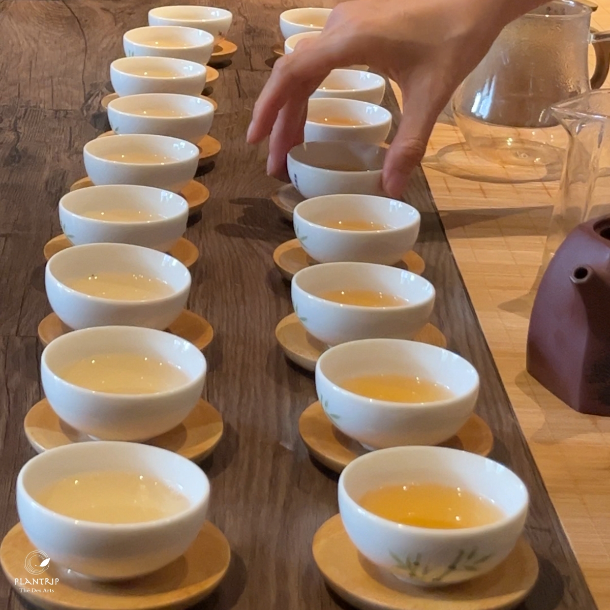 Một số hình ảnh của buổi "Thứ 5, thưởng trà nào!" tháng 10/2024.