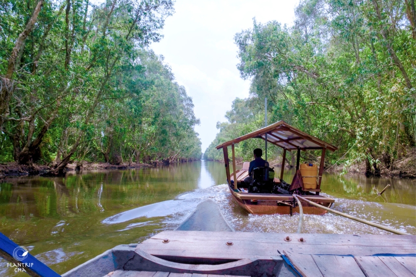 Tham quan miền sông nước cùng Plantrip Cha.