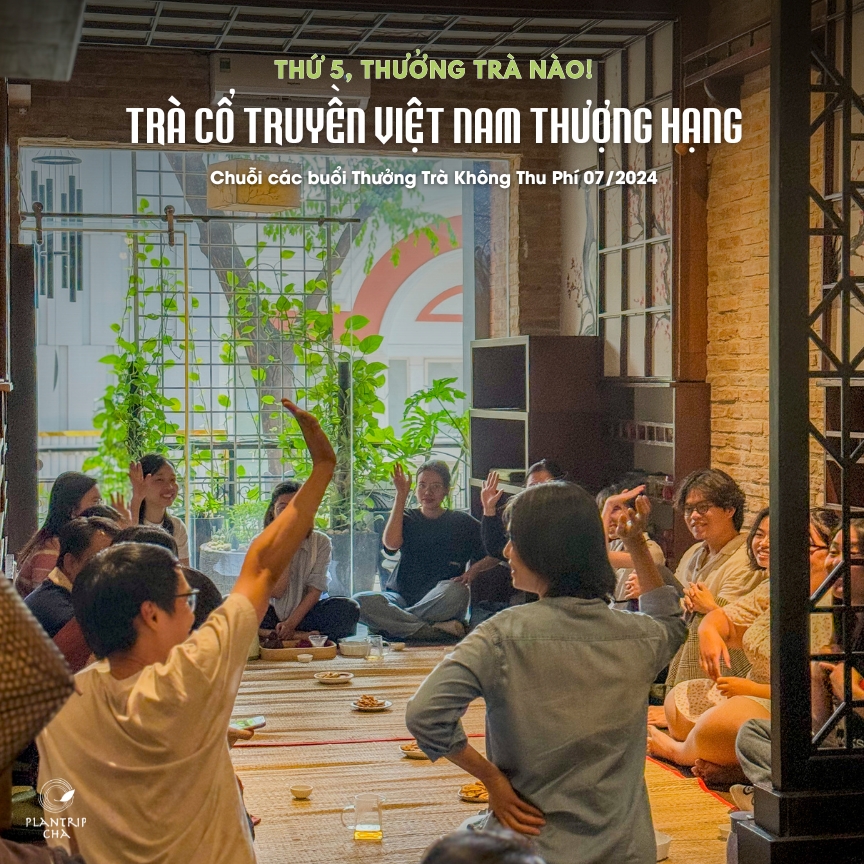 Chương trình thưởng trà tại Hồ Chí Minh dành cho tất cả mọi người.