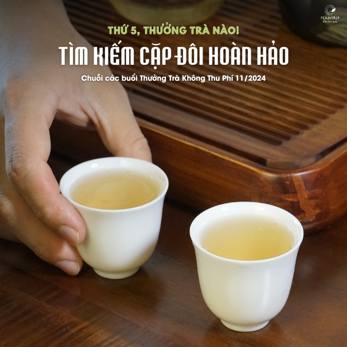 Trà Búp Tím Phú Thọ Quý Hiếm mang đến trải nghiệm hương vị khác biệt.