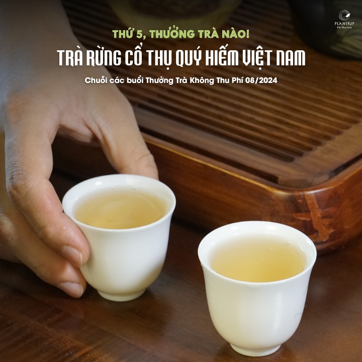 Cùng tham gia buổi thưởng trà ấm cúng và vui vẻ cùng những câu chuyện trà thú vị.