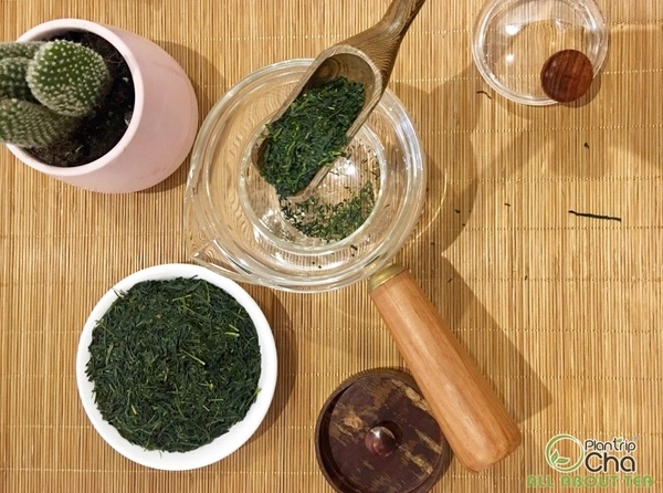 Cách pha trà xanh Gyokuro