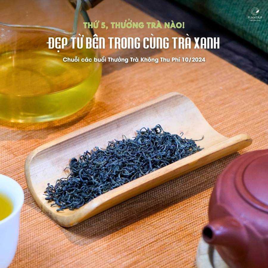 Trà Búp Tím Phú Thọ Quý Hiếm mang đến trải nghiệm hương vị khác biệt.