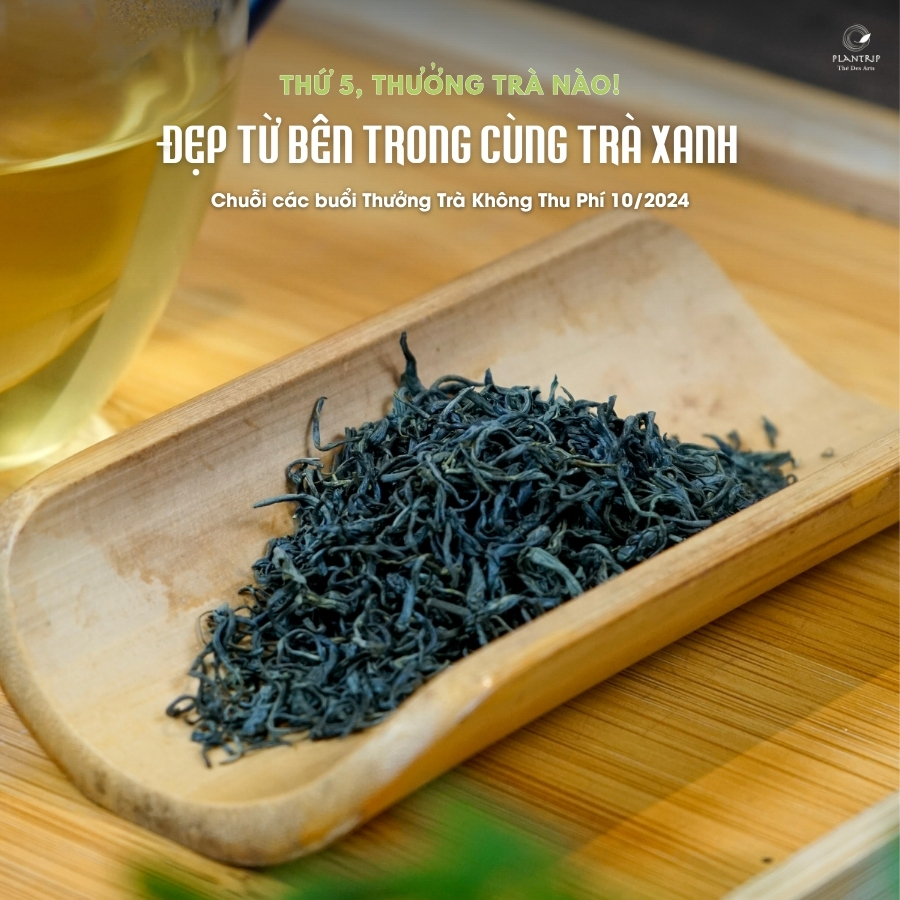 Trà Xanh Nõn Tôm Tân Cương là 1 lựa chọn cao cấp cho người yêu trà.