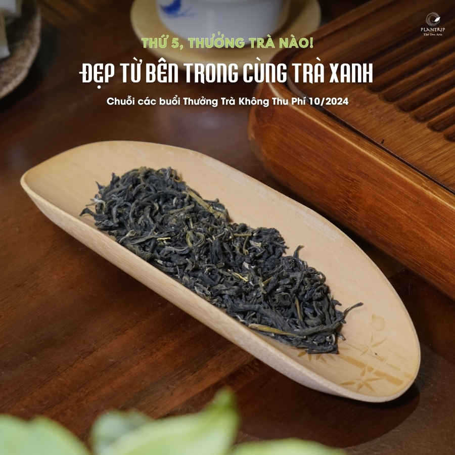 Hình dáng lá Trà Xanh Sen Ngàn Búp Đồng Văn Thượng Hạng.