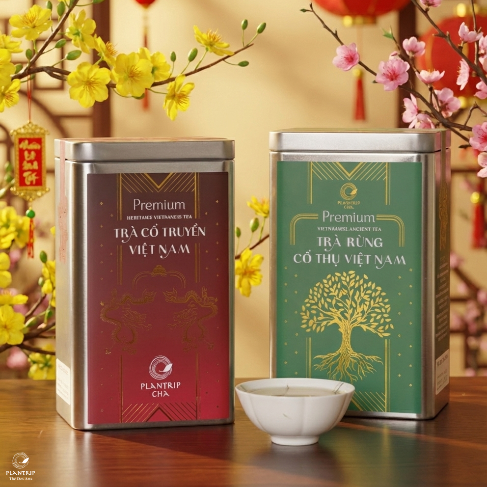 Sự giao hòa giữa may mắn và sinh khí, mở ra khởi đầu hanh thông.