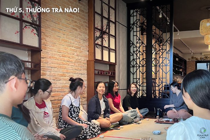 Chương trình thưởng trà tại Hồ Chí Minh dành cho tất cả mọi người.